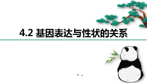 《基因表达与性状的关系》基因的表达PPT精品课件