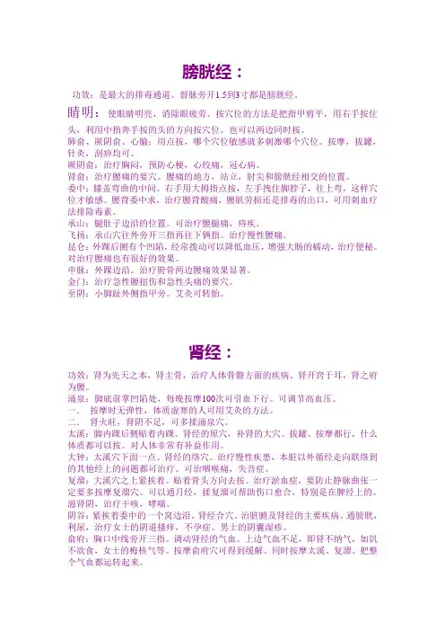 膀胱经