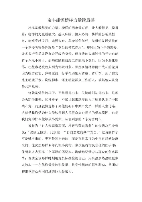 宝丰能源榜样力量读后感