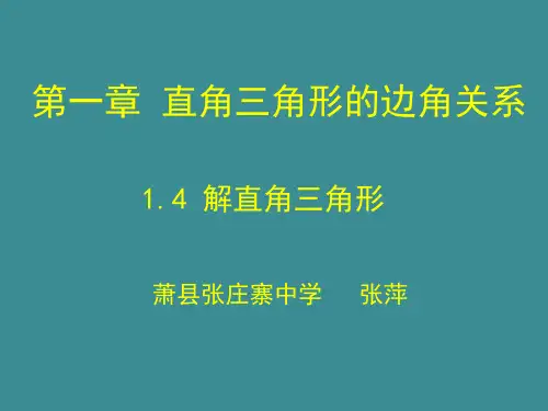 北师大版九年级下册1.4解直角三角形课件