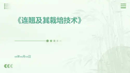 连翘及其栽培技术