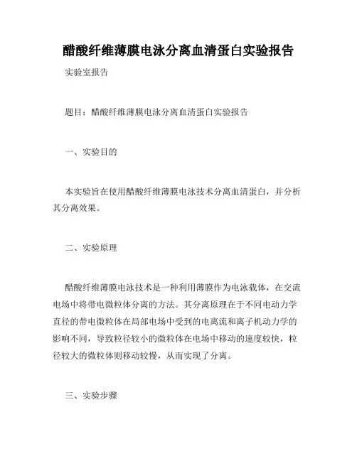 醋酸纤维薄膜电泳分离血清蛋白实验报告
