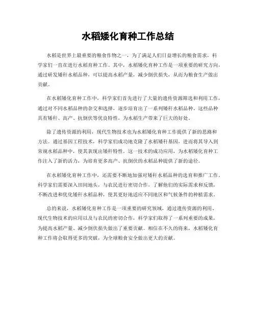 水稻矮化育种工作总结