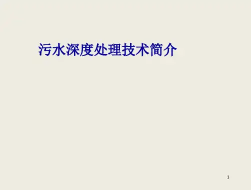 污水深度处理简介..