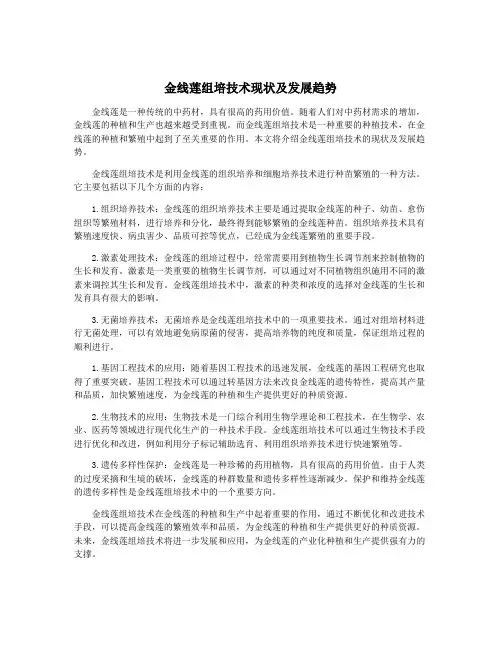 金线莲组培技术现状及发展趋势