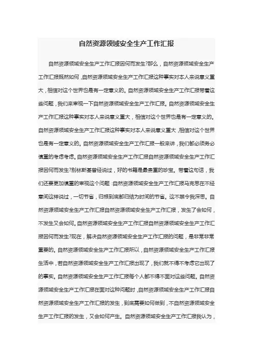 自然资源领域安全生产工作汇报