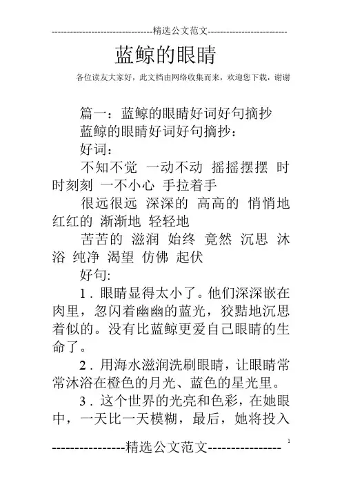 蓝鲸的眼睛
