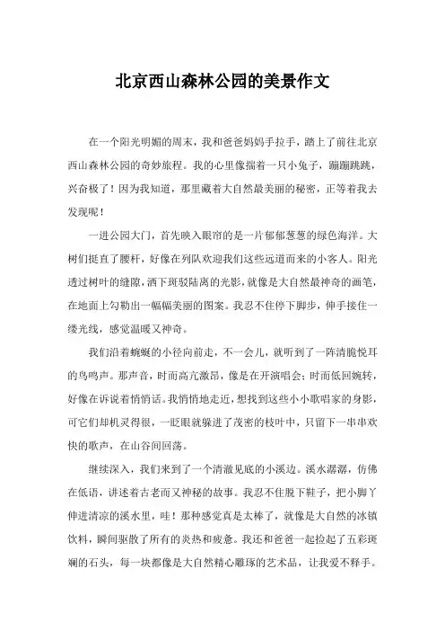 北京西山森林公园的美景作文