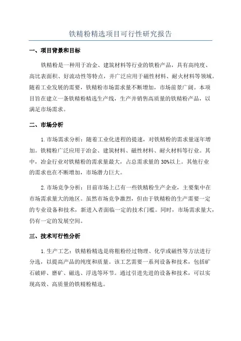铁精粉精选项目可行性研究报告