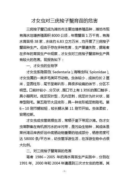 才女虫对三疣梭子蟹育苗的危害