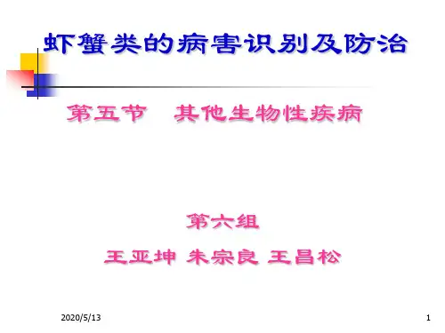 虾蟹类病害识别及防治