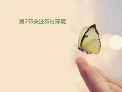 关注农村环境PPT课件1