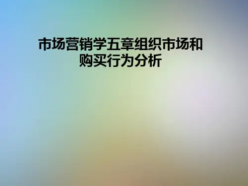 市场营销学五章组织市场和购买行为分析