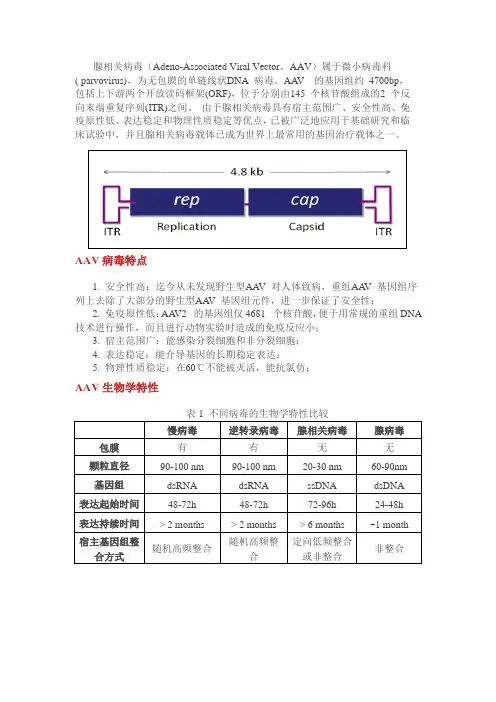 AAV操作流程