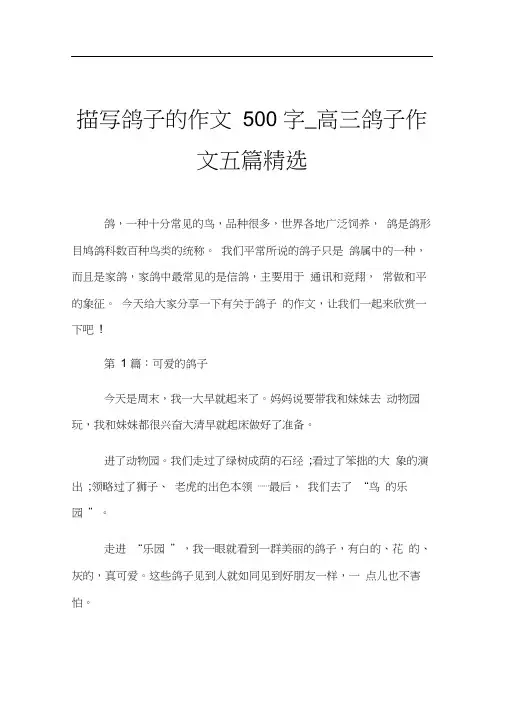 描写鸽子的作文500字_高三鸽子作文五篇精选