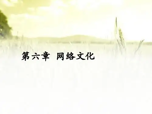 网络文化 PPT课件