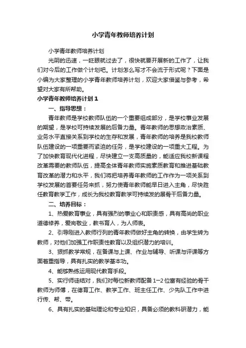 小学青年教师培养计划（精选16篇）