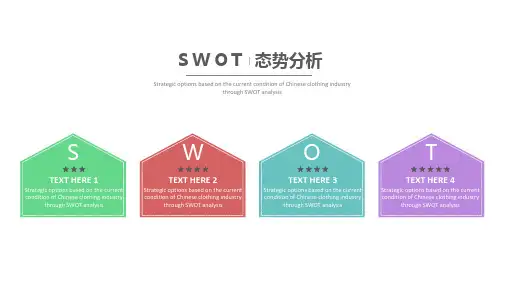 SWOT分析图表态势分析图表双色板ppt模板(内容完整可编辑)