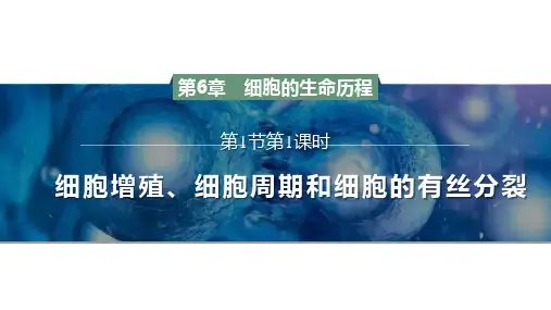 6.(1)细胞增殖(第一课时)课件高一上学期生物人教版必修(1)