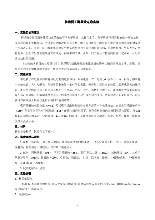 植物同工酶凝胶电泳实验