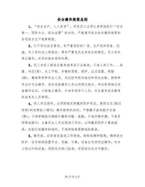 安全操作规程总则（5篇）
