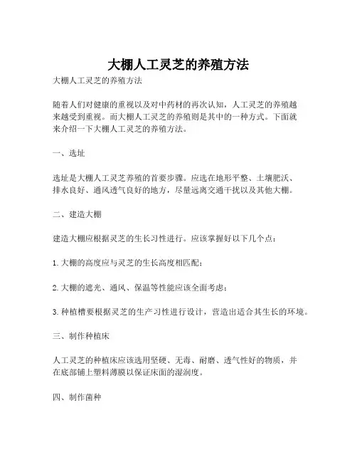 大棚人工灵芝的养殖方法