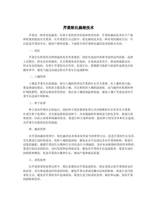 芹菜软化栽培技术