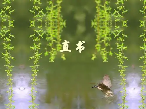 《直书》文学现象及翻译