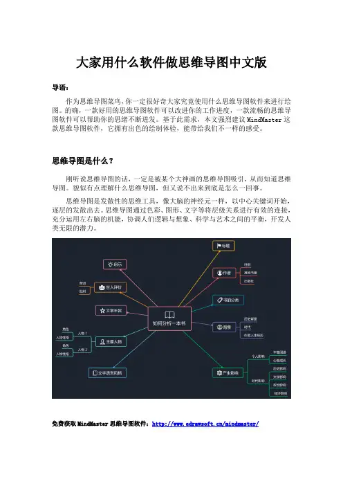 大家用什么软件做思维导图中文版