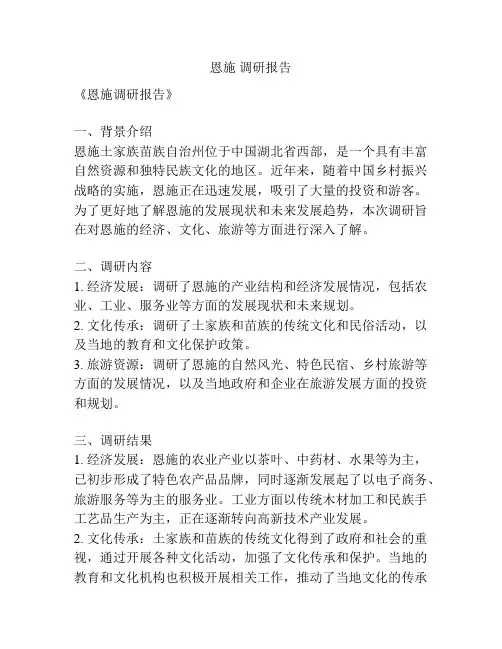 恩施 调研报告