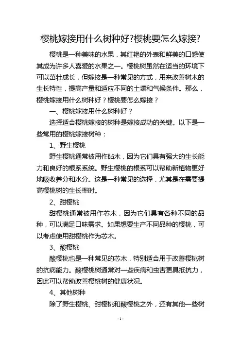 樱桃嫁接用什么树种好-樱桃要怎么嫁接-