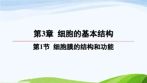 第三章第1节细胞膜的结构与功能高中生物必修一人教版