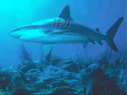新人教版八年级物理下册101浮力课件
