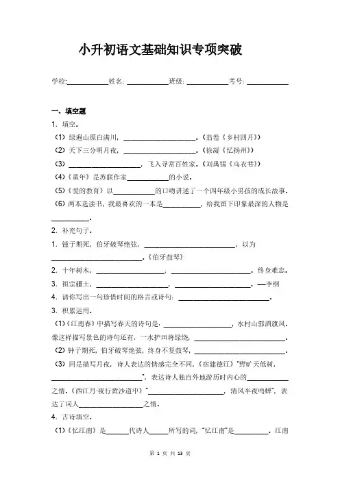 小升初语文总复习基础知识专项突破【部编版】