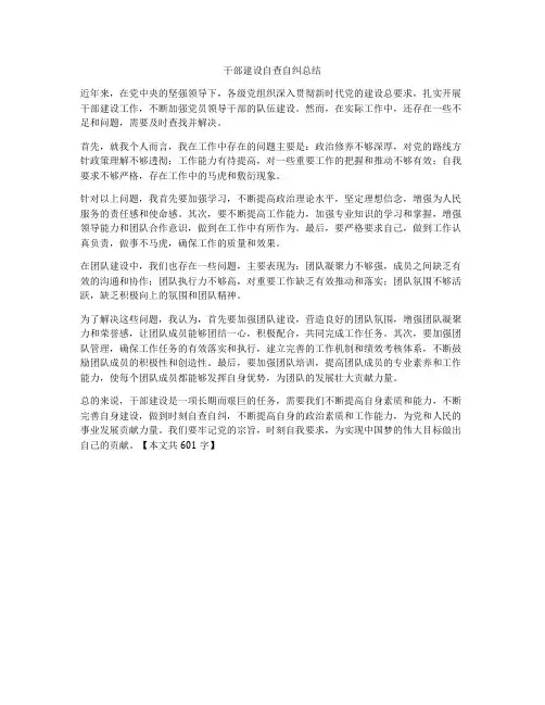 干部建设自查自纠总结