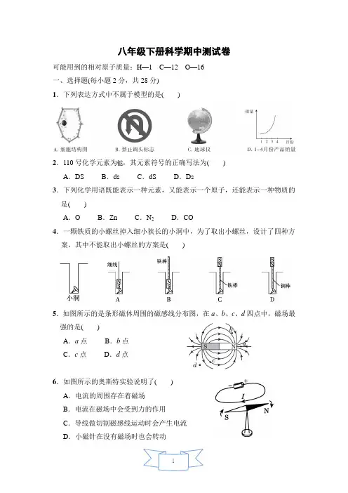 八年级下册科学期中测试卷(含答案)