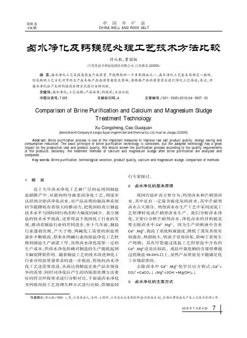 卤水净化及钙镁泥处理工艺技术方法比较
