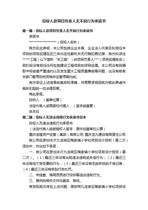 投标人及项目负责人无不良行为承诺书