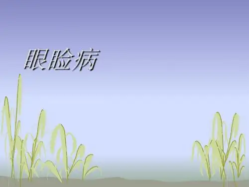 5眼睑病泪器病课件