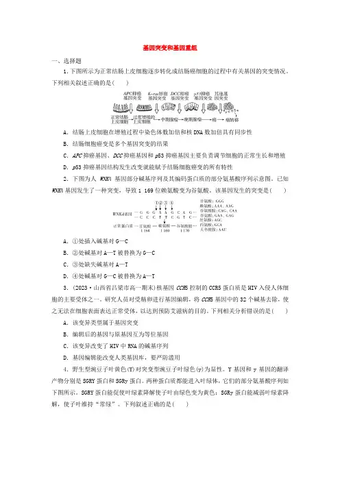 【生物】基因突变和基因重组练习卷-2023-2024学年高一下学期生物人教版必修二