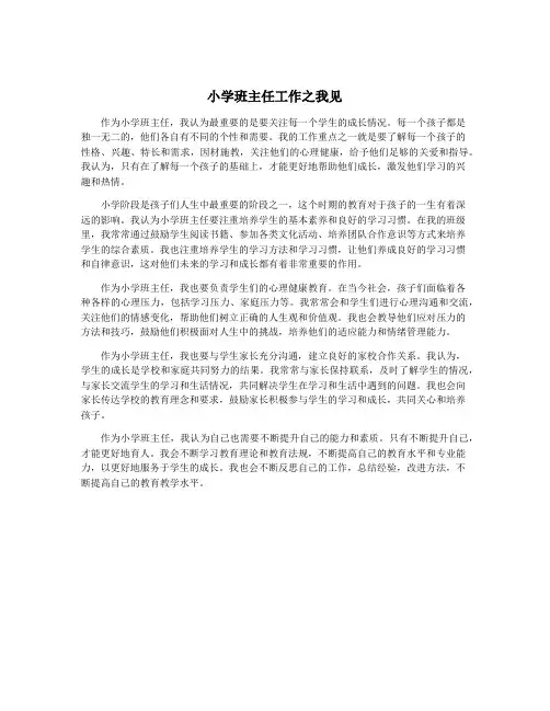 小学班主任工作之我见