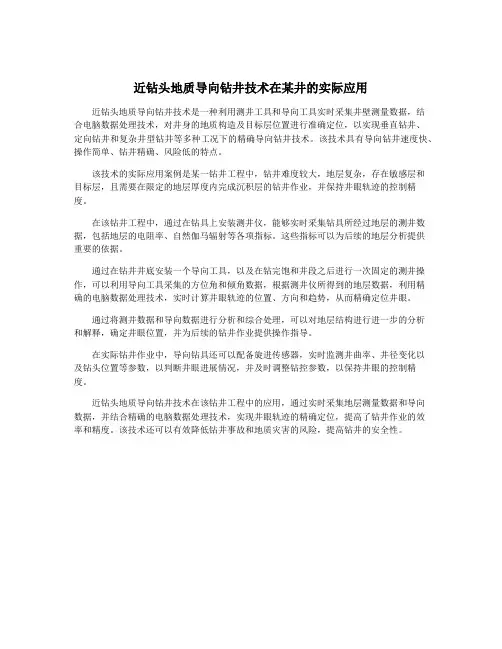 近钻头地质导向钻井技术在某井的实际应用