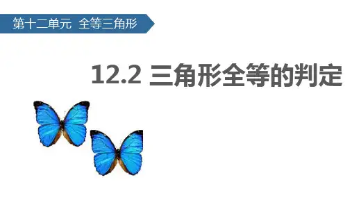 12-2 三角形全等的判定 课件(共25张PPT)