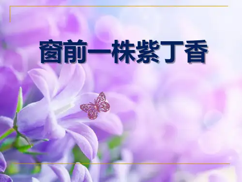 《窗前一株紫丁香》PPT课件3 (共10张PPT)