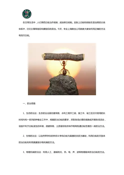 上海除虫公司教你如何有效灭白蚁