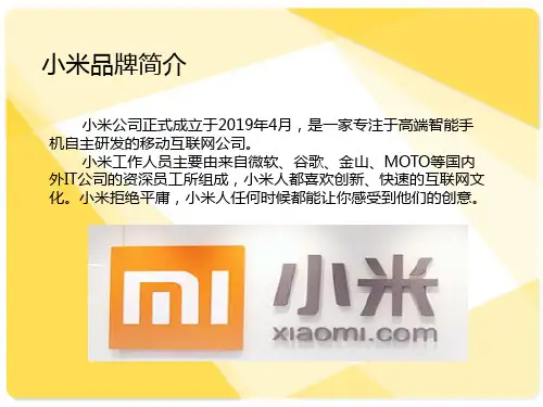 小米品牌战略分析共30页