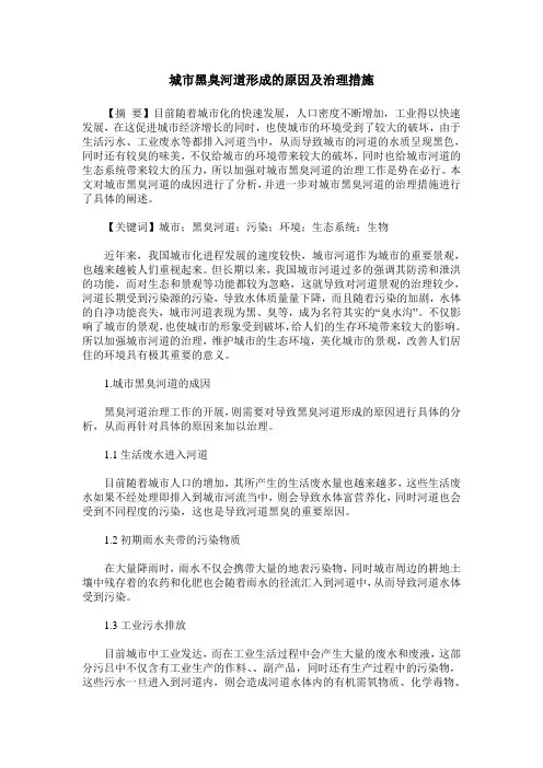 城市黑臭河道形成的原因及治理措施