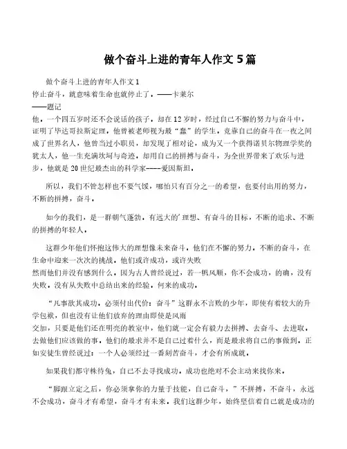 做个奋斗上进的青年人作文5篇