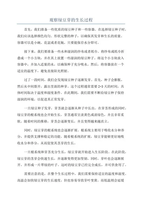 观察绿豆芽的生长过程
