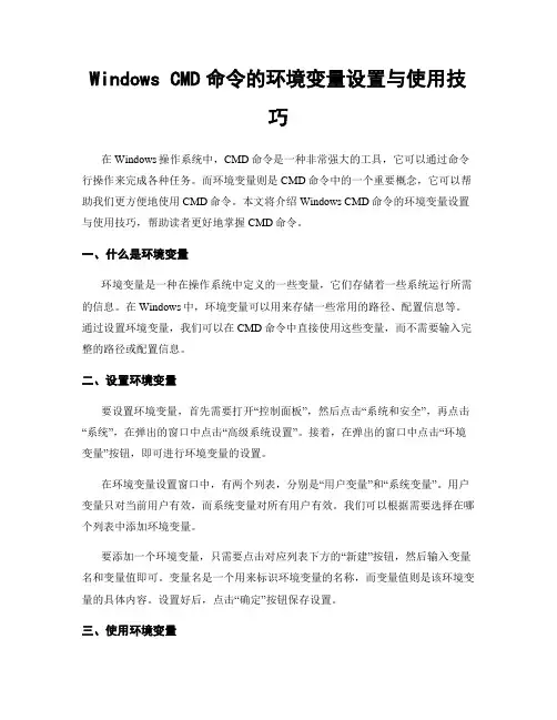 Windows CMD命令的环境变量设置与使用技巧